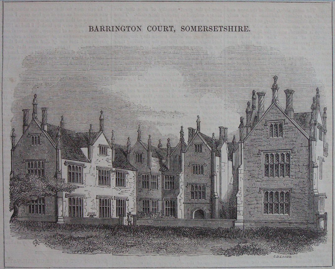 Wood - Barrington Court Somersetshire - Laing